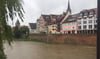  Der Donauradweg unterhalb der Herdbrücke in Ulm ist überflutet.