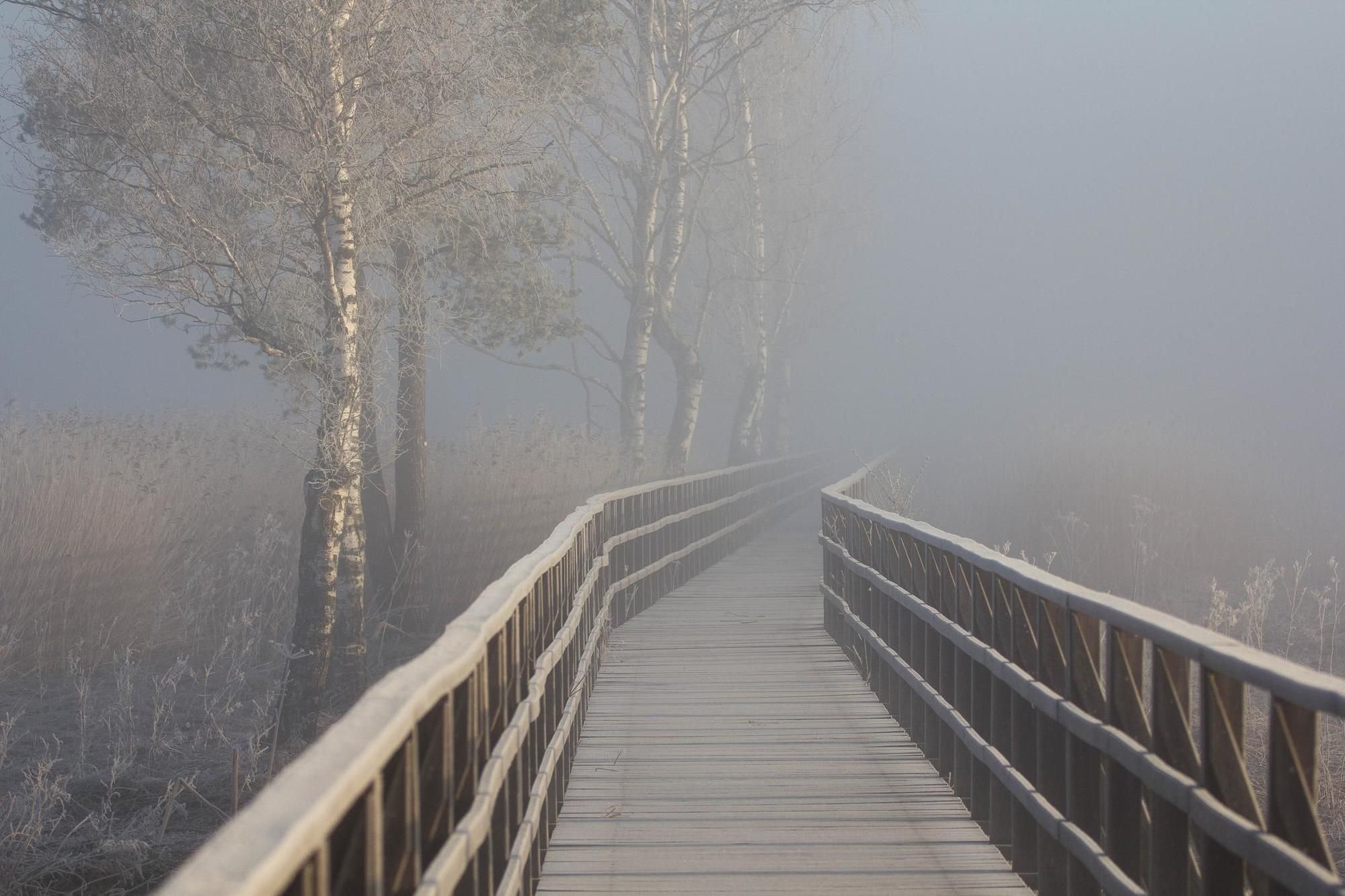 Schaurig Ist's übers Moor Zu Gehen Oh schaurig ist’s, übers Moor zu gehen