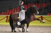 Das kleine Pony mit der Puppe auf dem Rücken hat ein Vorbild: das Pferd mit der Reiterin.
