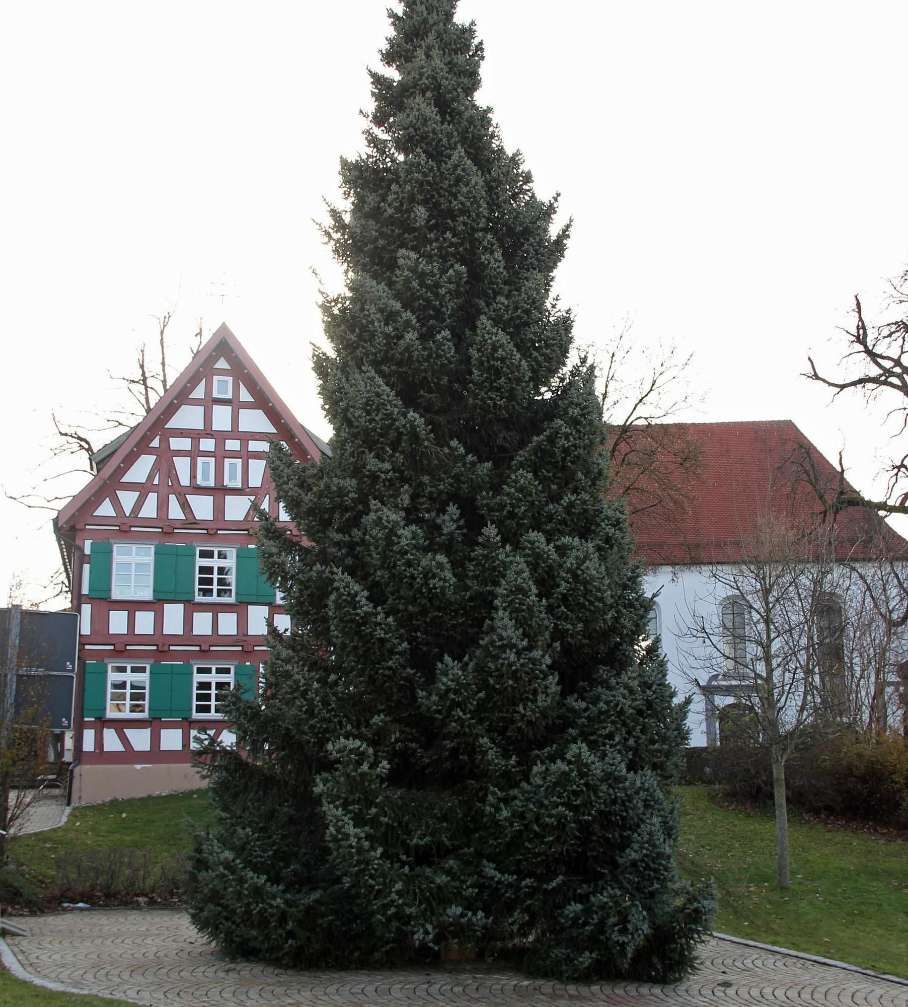 Lob für schmucken Christbaum in der Ortsmitte