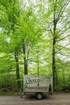 
Die Waldbox reist als Autoanhänger durch den ganzen Landkreis und soll Kinder und Jugendliche für die Natur begeistern. 
