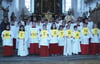 
Die neuen Ministranten der Seelsorgeeinheit Meßkirch-Sauldorf sind stolz auf ihr Amt.Rechts im Bild ist Pater Joseph, links Gemeindereferentin Sybille Konstanzer.
