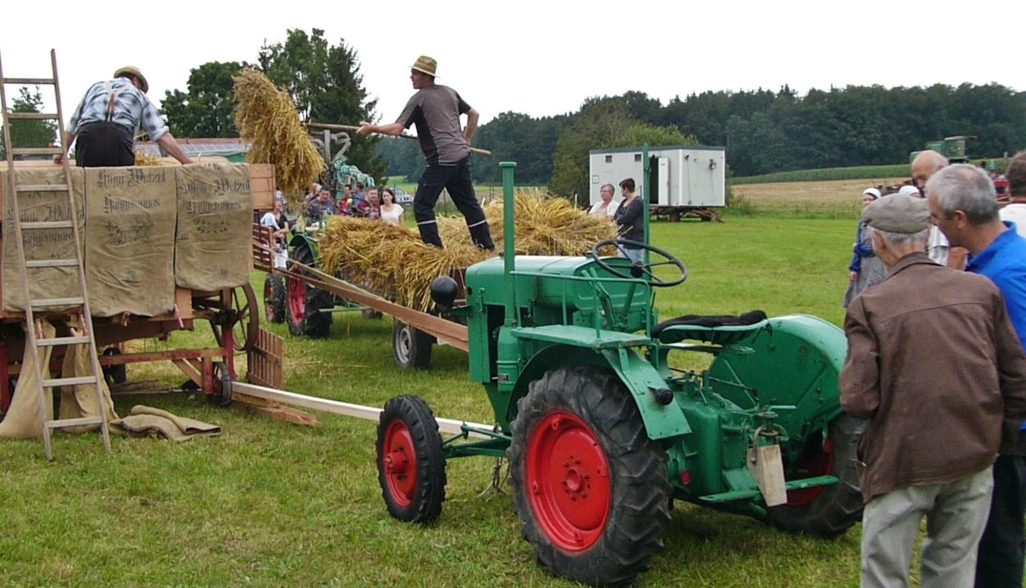 Dreschfest Lockt Mit Alten Traktoren Und Techniken