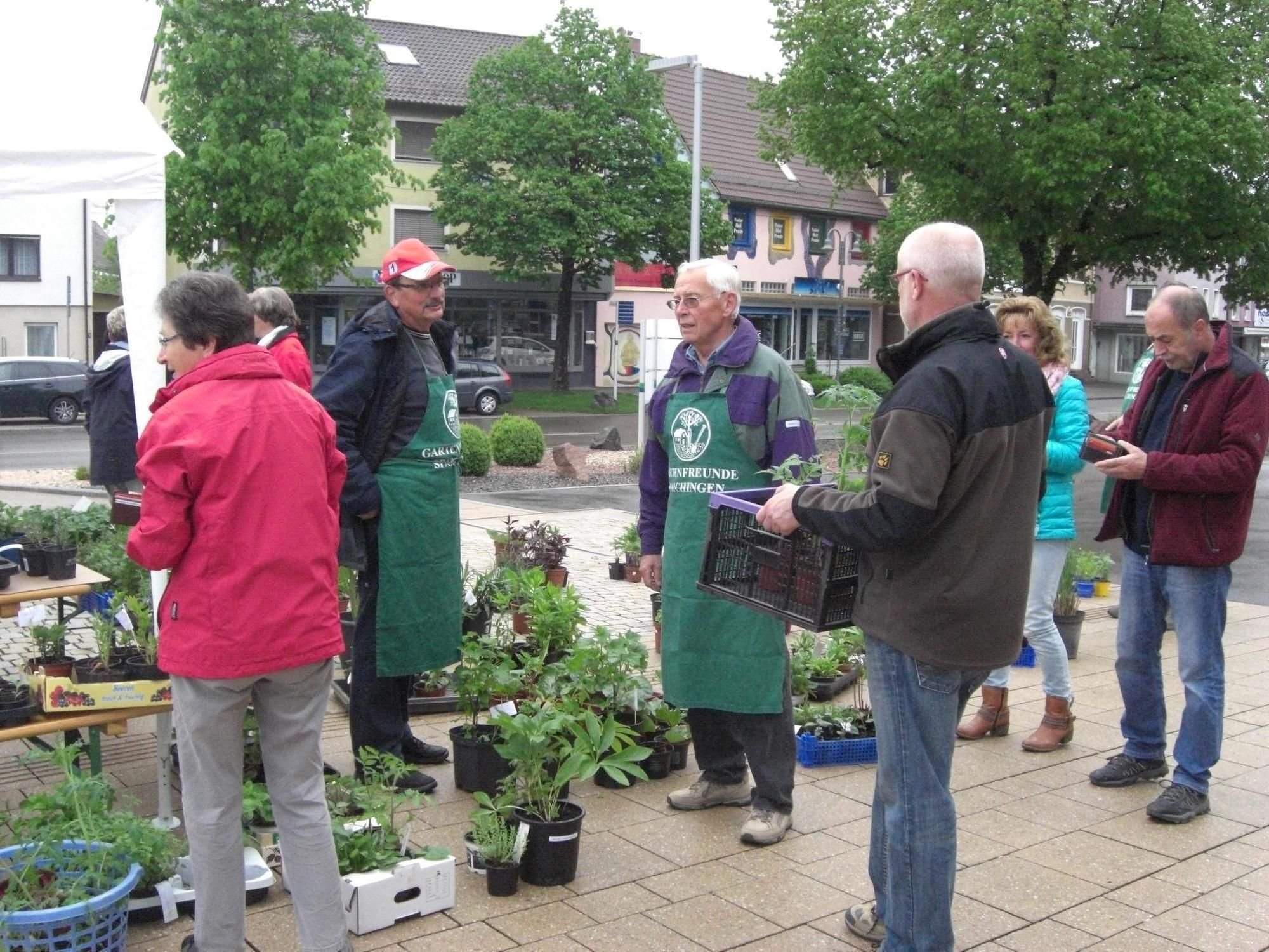 Pflanzen der Gartenfreunde finden besten Absatz