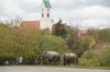
Die Elefanten vom Circus Belly genießen das saftige Gras direkt am Donauradwanderweg in Riedlingen.
