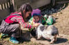 Im Bauernhofkindergarten in Achberg kümmern sich die Kinder um zahlreiche Tiere.