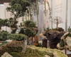 Ein Blickfang auf der diesjährigen Frühlingsmesse IBO sind die schwebenden Bonsaigärten des Gartengestalters Michael Cerny.