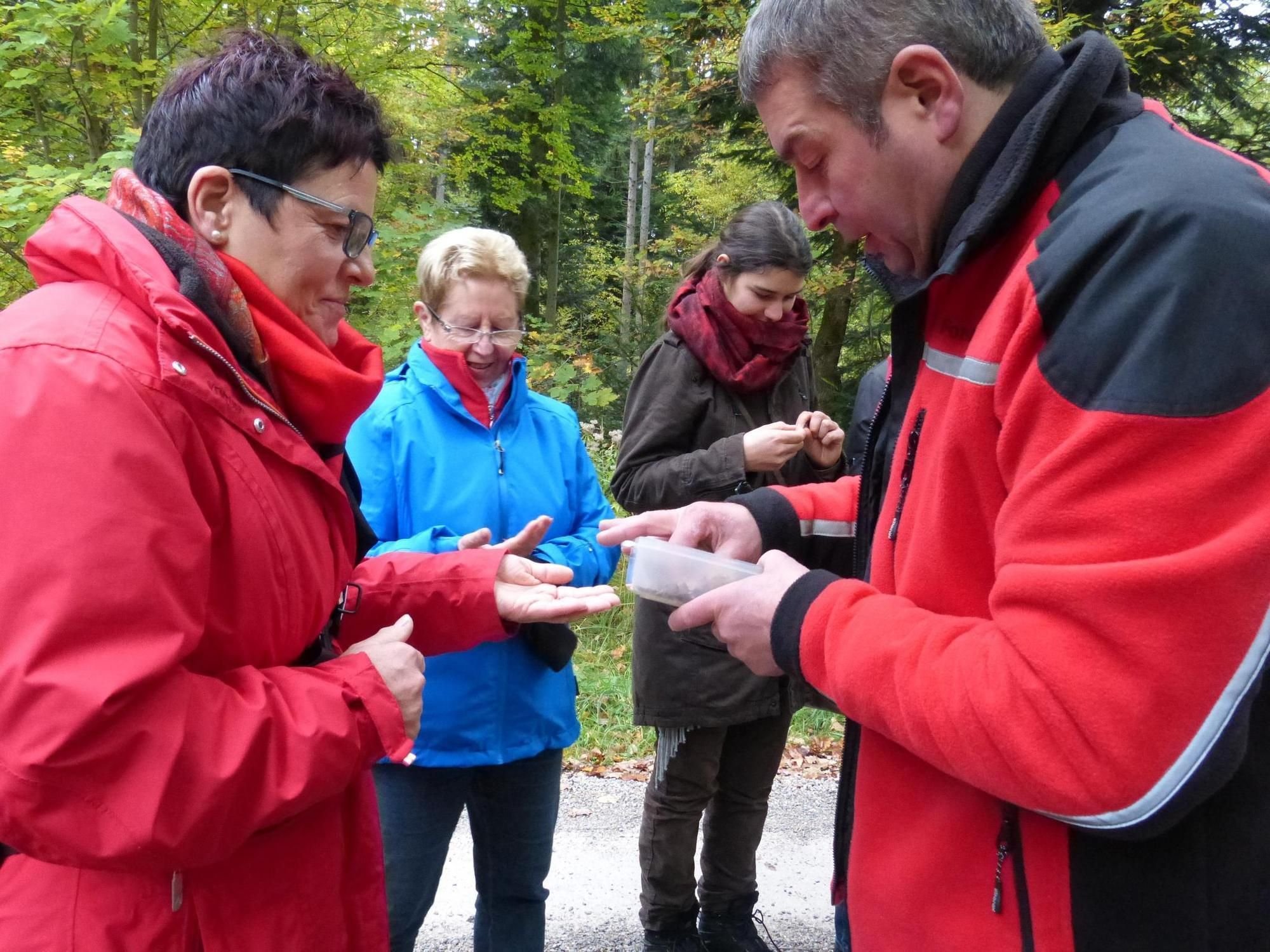 Leckerer Brennnesselsalat aus dem Wald