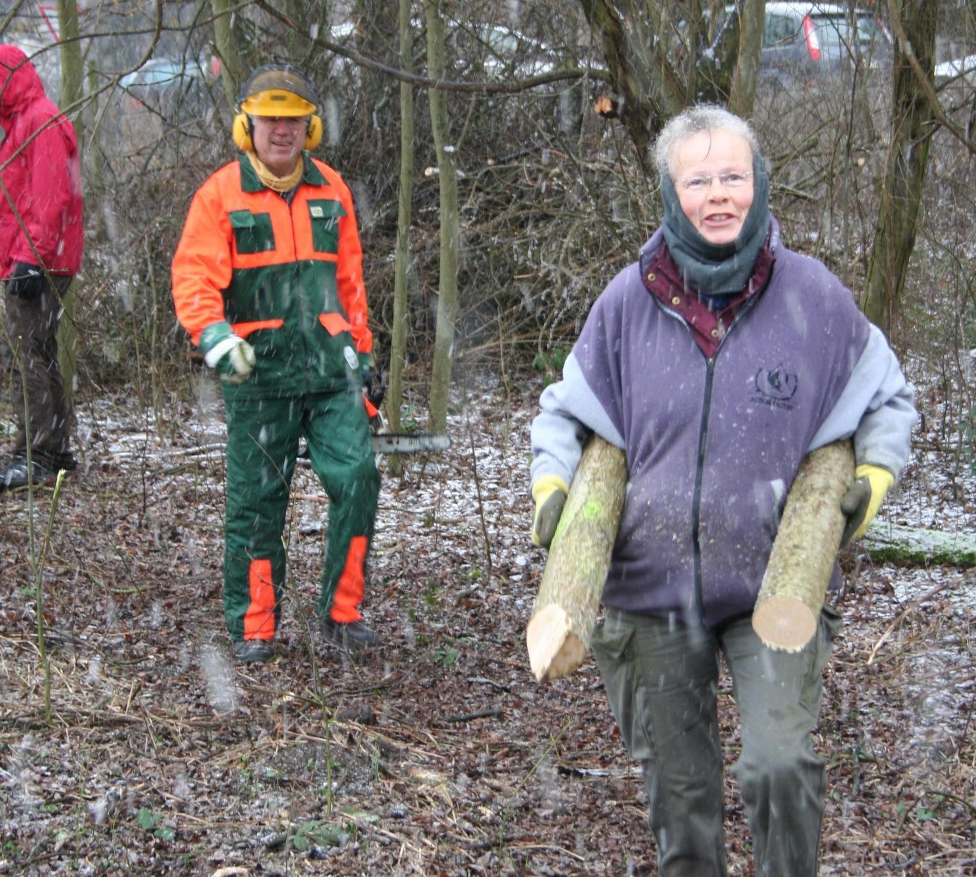 Der BUND forstet den TaufbachEisweiher aus