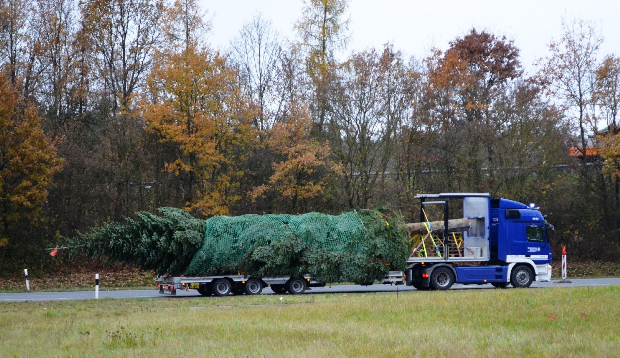 WeihnachtsbaumTransport als Übung für den Ernstfall