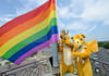 Die Regenbogenfahne, Symbol von Vielfältigkeit und Toleranz, wurde am Christopher Street Day in Stuttgart gehisst. Doch die geplante Verankerung sexueller Vielfalt als Thema im Unterricht hat heftige Debatten um den Bildungsplan 2015 ausgelöst.