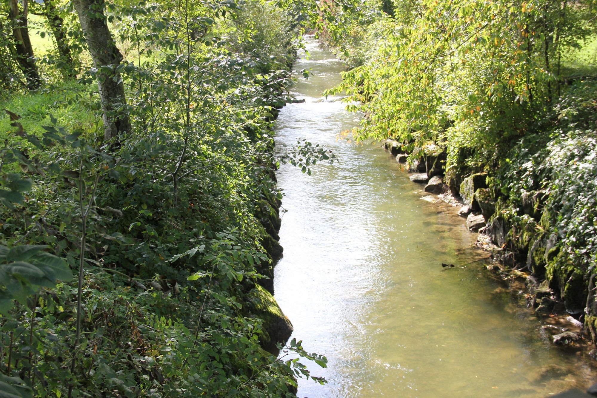 Die Eschach bekommt ein neues Gesicht