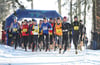 Im Schnee von Vogt geht es am Sonntag ins Finale der Crosslaufserie Oberschwaben. (Archivbild)