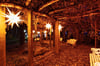  Mehr als 30 Illuminationen verleihen der Insel Mainau einen bunten Lichterglanz.