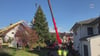 So kommt der Weihnachtsbaum vors Alte Rathaus in Lindau