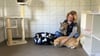  Tierheim-Leiterin Sabine Bantle sucht für Kater Prinz (grau) und Katze Bibi (rot) ein zu Hause.
