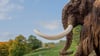 Ein unbedingter Hingucker im Archäopark bei Niederstotzingen ist die orginalgetreue Figur eines ausgewachsenen Mammunts.