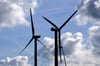 Im Altdorfer Wald soll ein Windpark mit 40 Anlagen entstehen.