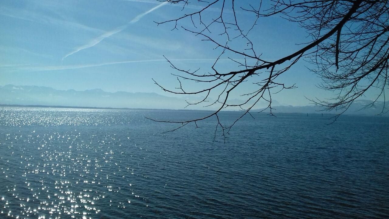 Diese Gefahren gibt es für den Bodensee und diese Perspektiven