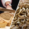 Wurmpulver IM Brot? Bäcker Haben Dazu Eine Klare Meinung