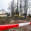 Baumschutzsatzung ja oder nein: Das wird in Friedrichshafen heiß diskutiert