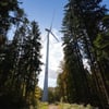 Vom Bodensee bis zur Alb: Neue Windkraft- und PV-Flächen weiter geheim