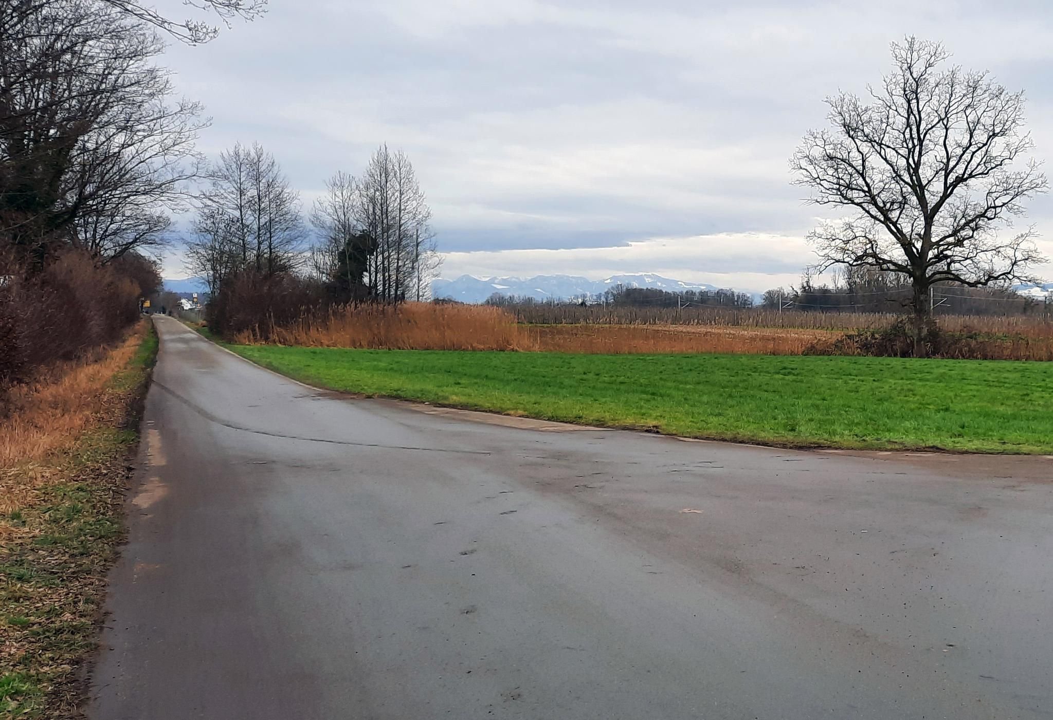 Neue Fahrradstraße Entsteht Parallel Zur B31 Zwischen Friedrichshafen ...