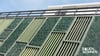 Dach- und Fassadenbegrünung: Diese Pflanzen kühlen Ihr Haus