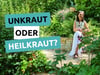 Heilwirkung von Nachtkerze, Lavendel, Giersch &amp; Co.