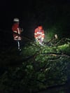 Vor allem wegen umgestürzter Bäume rückten die verschiedenen Abteilungen der Feuerwehr Leutkirch zu rund 40 Einsätzen aus.