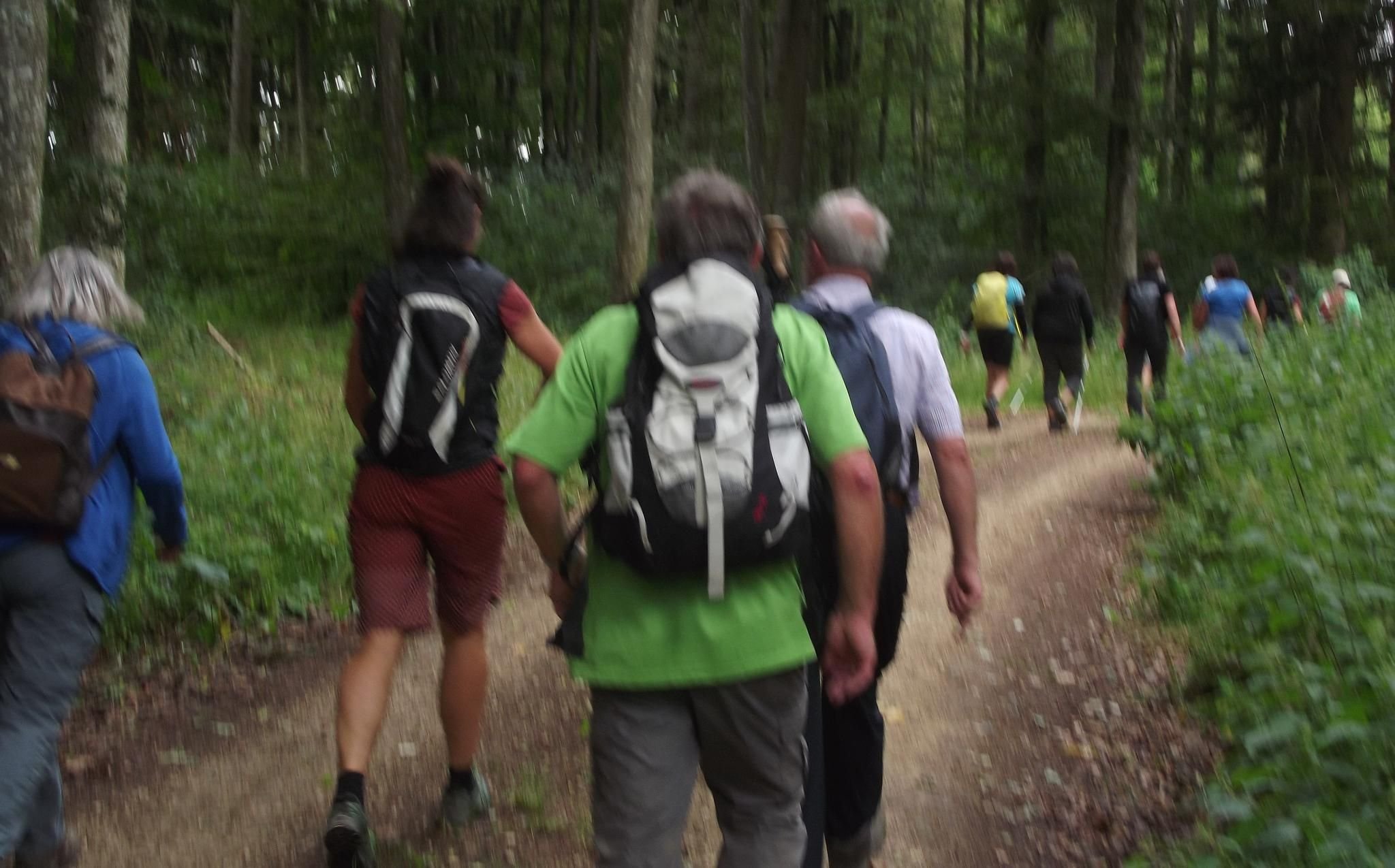 Wandern Ganz Sportlich Beim Albverein