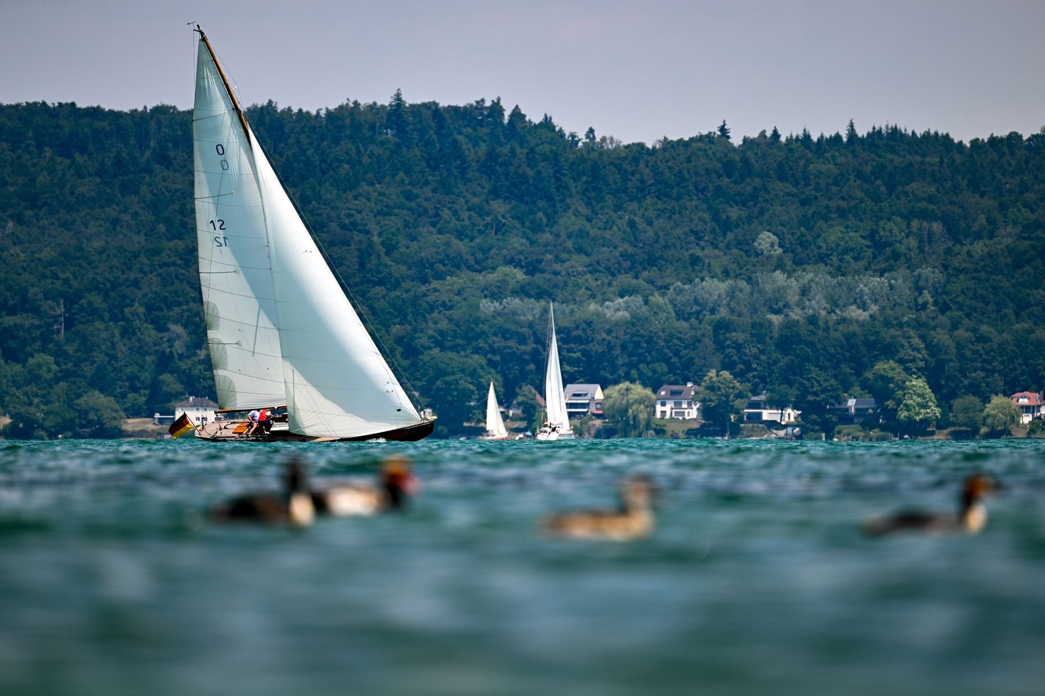 segelboot gekentert bodensee