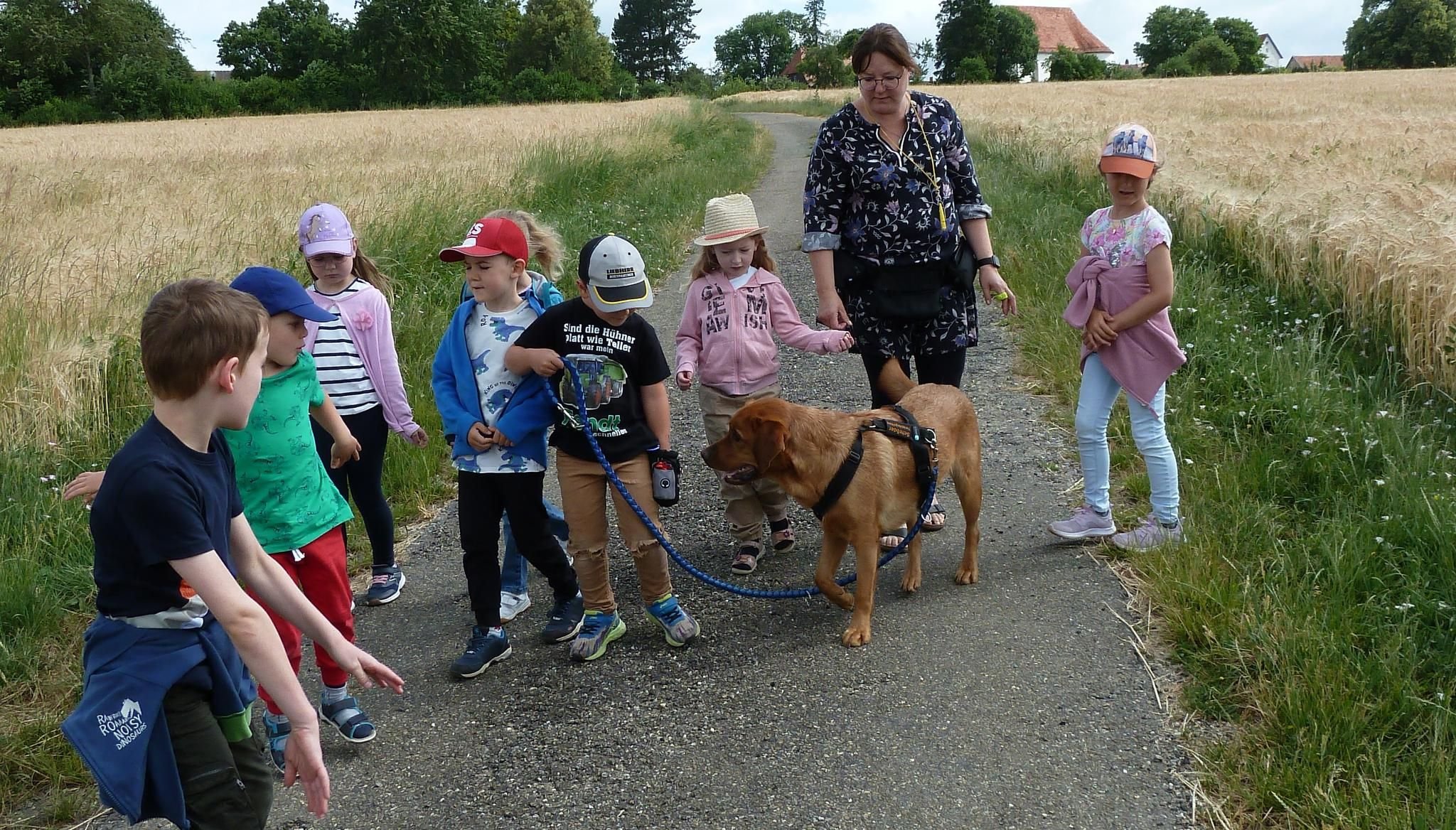 Ein Hund im Kindergarten