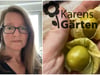 Ein Selbstläufer: Physalis im eigenen Garten