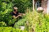 Eine effiziente Gartenbewässerung erfordert eine Analyse des Wasserbedarfs und des Standorts.