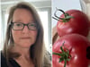 Eigenes Saatgut von Tomate und Co gewinnen – das geht und das ist tabu