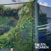 Vertikale Gärten: Ästhetik und Ökologie im Einklang
