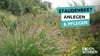 Staudenbeete: Ästhetisch, vielseitig, pflegeleicht. Tipps für Anlage und Gestaltung.
