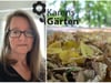 Wertvolles Gärtnergold: Laubsammeln im Oktober