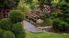 Ästhetik und Ruhe: Traditioneller japanischer Garten mit Teich und Brücke.