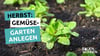 Es ist Herbst, es wird kalt und trotzdem können Sie noch Gemüse anbauen. Salat kann problemlos auch jetzt noch gepflanzt werden.