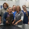 Meckenbeurer Tierarztpraxis steht auf der Focus-Bestenliste