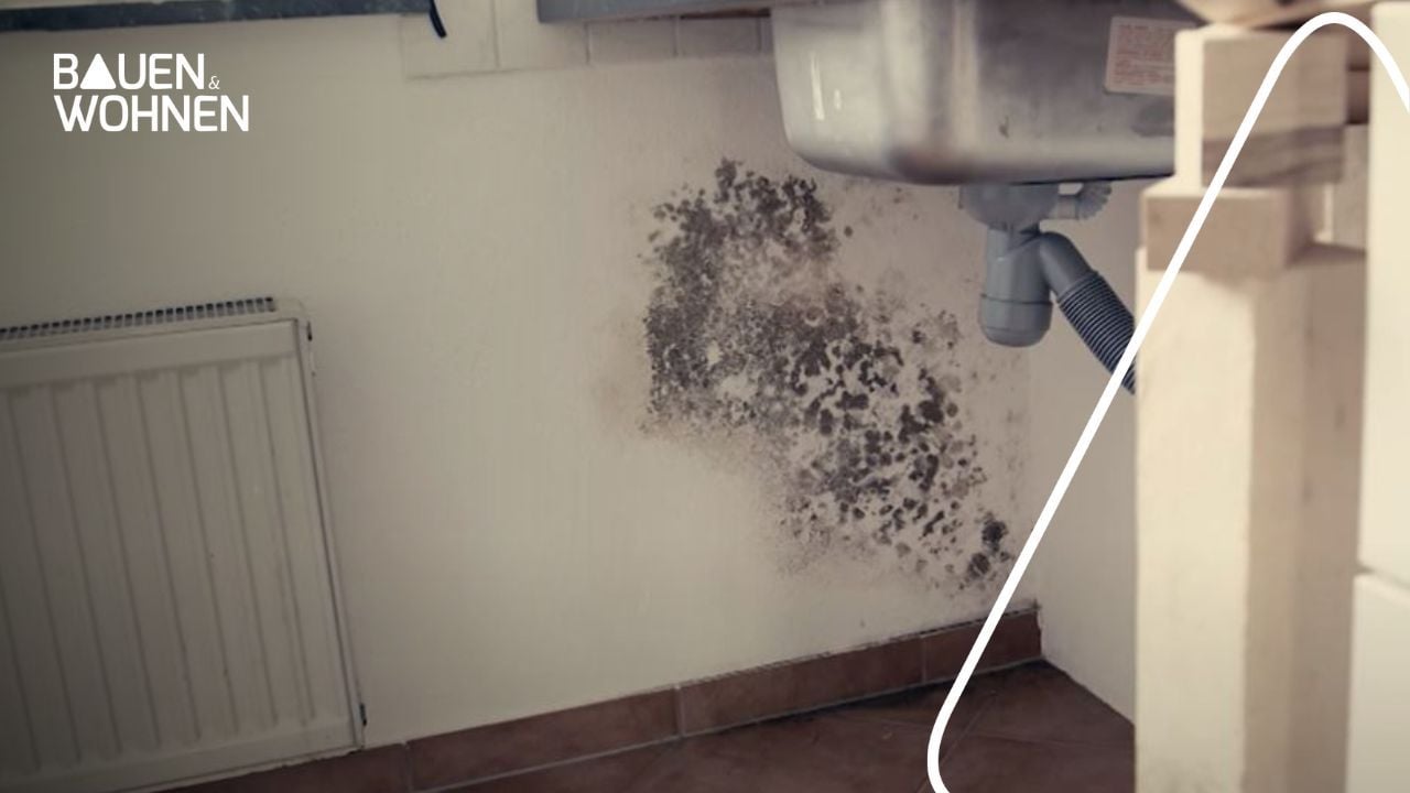 Www Mietrechtler In De Schimmel In Der Wohnung Html Schimmel in der Wohnung: Ursachen, Prävention und Bekämpfung