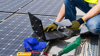 Sicherheit und Effizienz bei der Photovoltaik-Installation: Qualifizierte Fachbetriebe gewährleisten optimale Leistung. Vergleichen Sie Angebote und prüfen Sie Zertifikate.