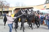 In Bad Schussenried findet ein Pferde- und Krämermarkt statt.