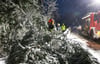 Riedlingen: Einsatzkräfte der Feuerwehr stehen auf der B312 und zersägen einen umgestürzten Baum, der der Schneelast nicht mehr standgehalten hat. Wegen des Wintereinbruchs in Süddeutschland gab es in der Nacht zahlreiche Einsätze durch Schneebruch.
