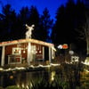 Auch bei Sonja Feige in Durchhausen gibt es eine wunderschöne Weihnachtsbeleuchtung. Den Elch hat ihr Mann selbst gemacht.