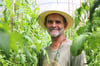 Michael Schick hat eine große Leidenschaft für Gemüse und vor allem für Tomaten.