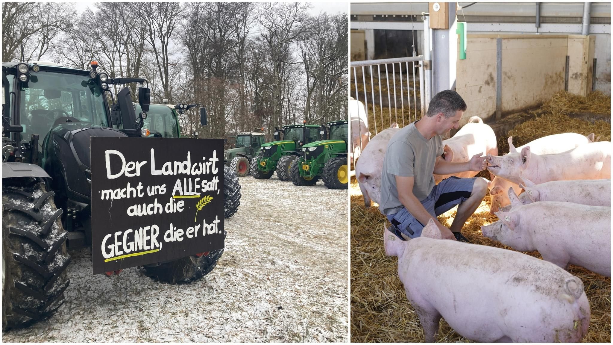 Bauernproteste: So Viel Könnten Landwirte Wirklich Verlieren