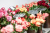 In einem Blumenladen in Oberfranken stehen vor dem Valentinstag verschiedene Rosen.